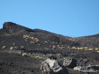 nte Pizzillo-21-10-2012 09-05-03